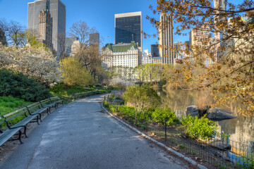 Central Park in spring