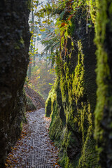 Drachenschlucht bei Eisenach im Spätherbst