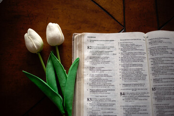 Fototapeta na wymiar Biblia en Español con rosas