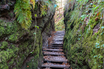 Drachenschlucht bei Eisenach im Spätherbst