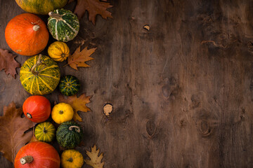 Various decorative pumpkins. Autumn concept