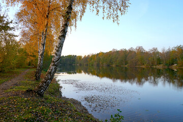 Kleiner Teich von Bäumen umgeben mit herbstlicher Abendstimmung 