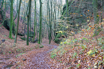 Drachenschlucht bei Eisenach im Spätherbst