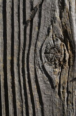 Deeply Grained Wood Plank