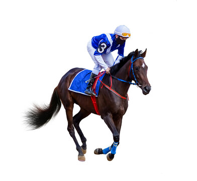 horse jockey jump isolated on white background of running horses