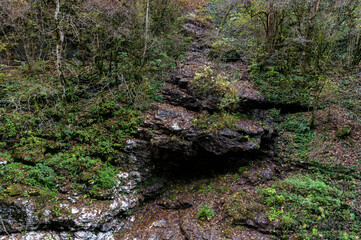 Autumn landscape with little mountain river flowing between mossy stones in deep gorge