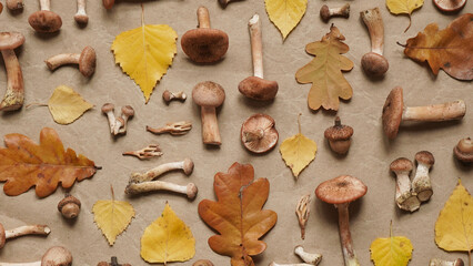 Beautiful seasonal autumn banner.Pattern of mushrooms honey agaric,yellow birch and brown oak leaves and acorns on beige and brown background,top view,flat lay.Vegetarian food.Close-up