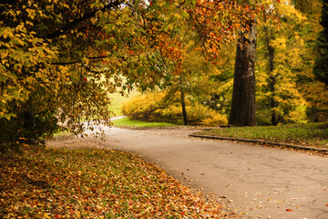 Beautiful view of park with trees on autumn day