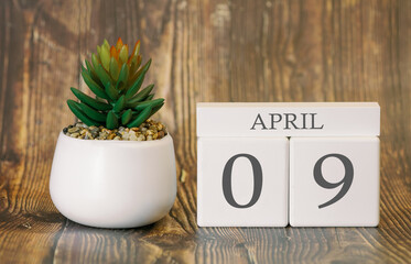 Flower pot and calendar for the snow season from 09 April. Spring time.