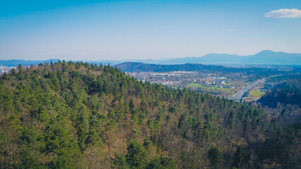 Fototapeta premium Motorway in the distance disappearing under a hill covered with trees on a sunny day.