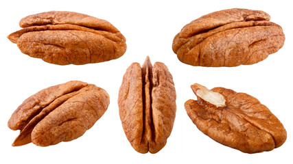 pecan, nut, isolated on white background, clipping path, full depth of field