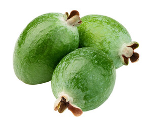 Feijoa isolated on white background, clipping path, full depth of field