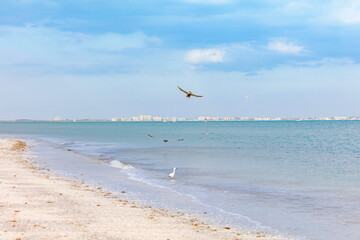 San Carlos Bay in the background Fort Myers Beach