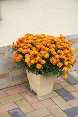 Fototapeta na wymiar bouquet of orange yellow flowers near the door