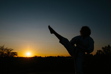 Silhouette of a karate woman, kicking, wearing a kimono. Karate and martial arts concept. In a park and trees background. Image with copyspace