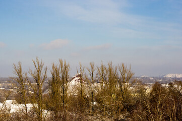 Winter urban frosty landscape - snow covered trees on foggy background