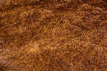 Old vintage genuine soft brown leather texture background, top layer with pores and scratches,...