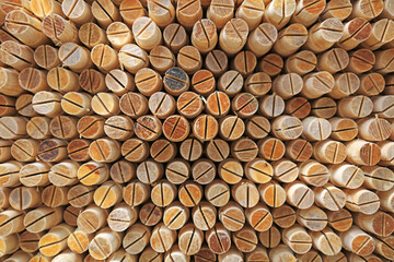 The cross section of wood is in a factory warehouse.