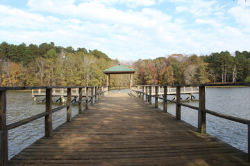 Fototapeta premium A walk in the Park