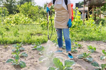 Woman gardener farmer with backpack pressure sprayer sprays vineyard in spring season