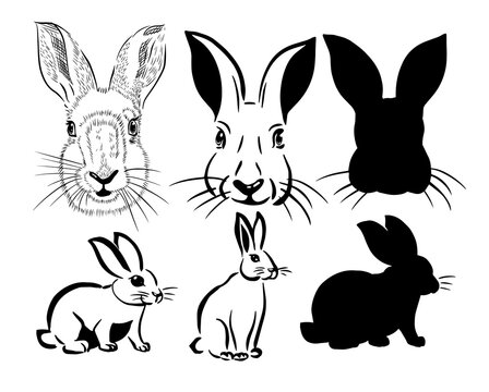 A set of rabbit. Happy Easter Day. Vector illustration