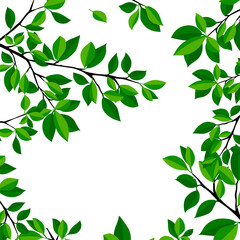 Background frame made of green leaves. Mixed media. Vector illustration