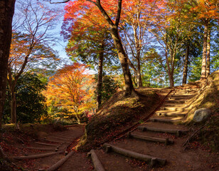 Fototapeta premium Colourful forest of Korankei in Japan