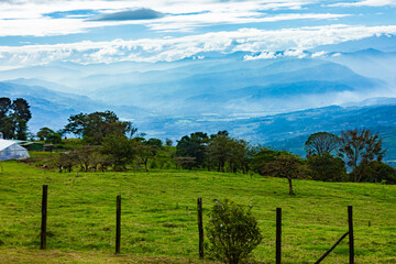 Fototapeta na wymiar National park La Quinta in Costa Rica