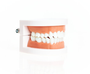 Artificial denture teeth over isolated white background.