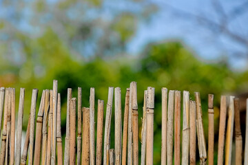 Fototapeta premium A fence made of twigs in the garden..