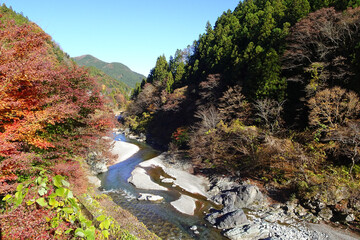 蛇行する川と紅葉／神流川（群馬県）