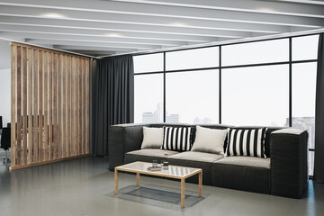 Modern living room interior with sofa