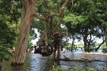 Cambodia.  Lake Tonle Sap.  The villagers hung up the engine from a tree.  Siem Reap city.  Siem Reap province. 