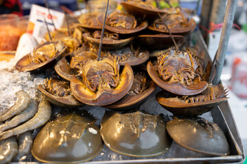 Horseshoe crabs on a Thai night market