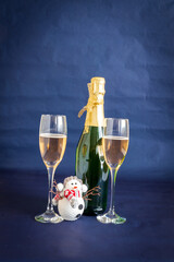 two glasses of champagne and bottle