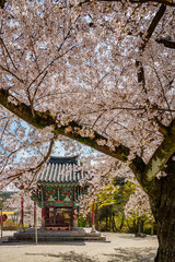 Naesosa Temple