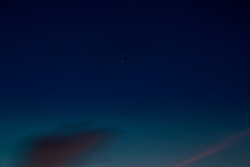 Background view of green leaves Close-up, with bokeh blur, colorful lights falling onto, one of nature's artistic beauty