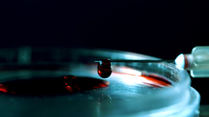 Blood drips from the tip of the needle. Close up