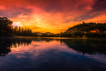 Blurred nature background view of naturally occurring trees and reflection on the water surface,...