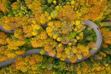 Fantastic autumn - colorful treetops with a significant red car driving through a double curve of a serpentine street at the fall.