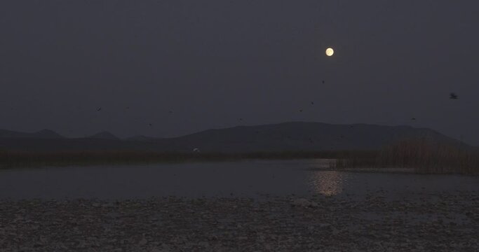Clear night with a fool moon in Vransko jezero, Croatia