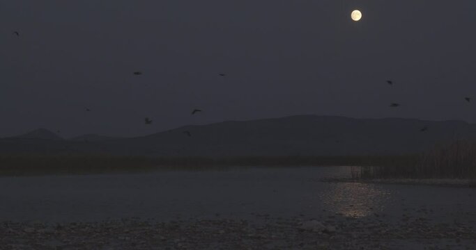 Clear night with a fool moon in Vransko jezero, Croatia