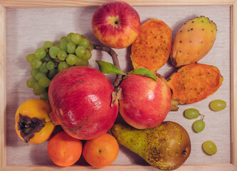 Still life fruit photo on canvas made as a painting of pomegranates, cactus figs, persimmon, grapes, tangerines and pear