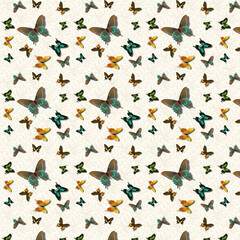 Pattern, background with butterfly