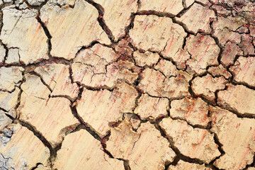 waterless soil