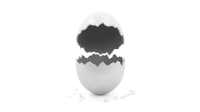 Empty White Egg Open on white background