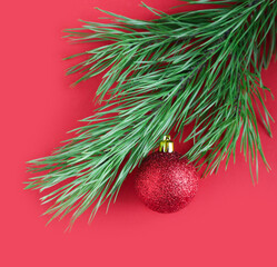 The pine branch is decorated with a shiny red ball. Christmas or New Year concept. Minimalism