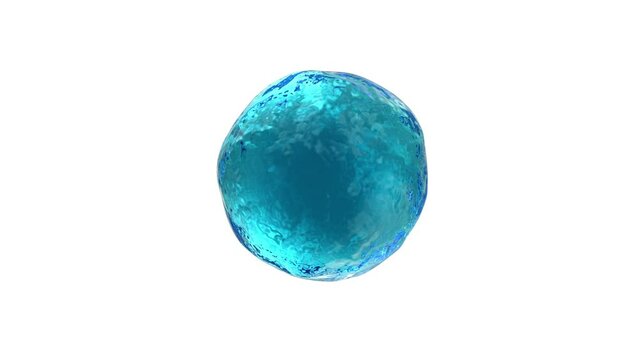 4K Animation of Seamless Looping Water Sphere on different backgrounds 