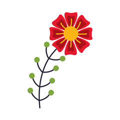 beautiful flower garden with stem and seeds