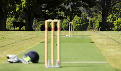 A view of a regional country cricket ground and pitch with farms and cows in the background. Wicket...